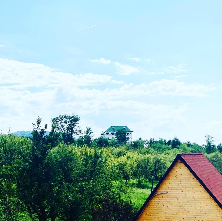 Cabanele Lu' Dinu Куртя-де-Арджеш Екстер'єр фото