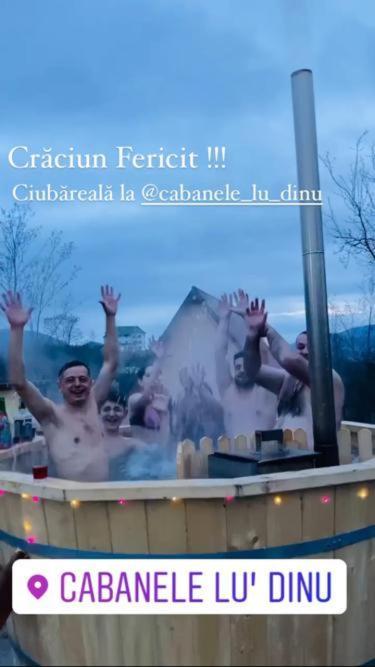 Cabanele Lu' Dinu Куртя-де-Арджеш Екстер'єр фото